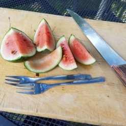 Mini-Wassermelone